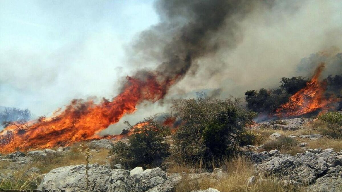 سه هکتار از جنگل‌ها و مراتع سبزوار در آتش سوخت