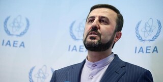 نماینده ایران زمینه‌ها و دلایل تصویب قانون اقدام راهبردی برای لغو تحریم‌ها را به اطلاع آژانس رساند
