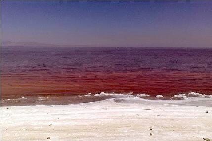 قرمز شدن آب دریاچه نمک قم با تکثیر یک جلبک (فیلم)
