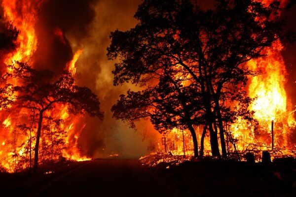 مقصر آتش‌سوزی جنگل های پره‌سر گیلان شناسایی شد
