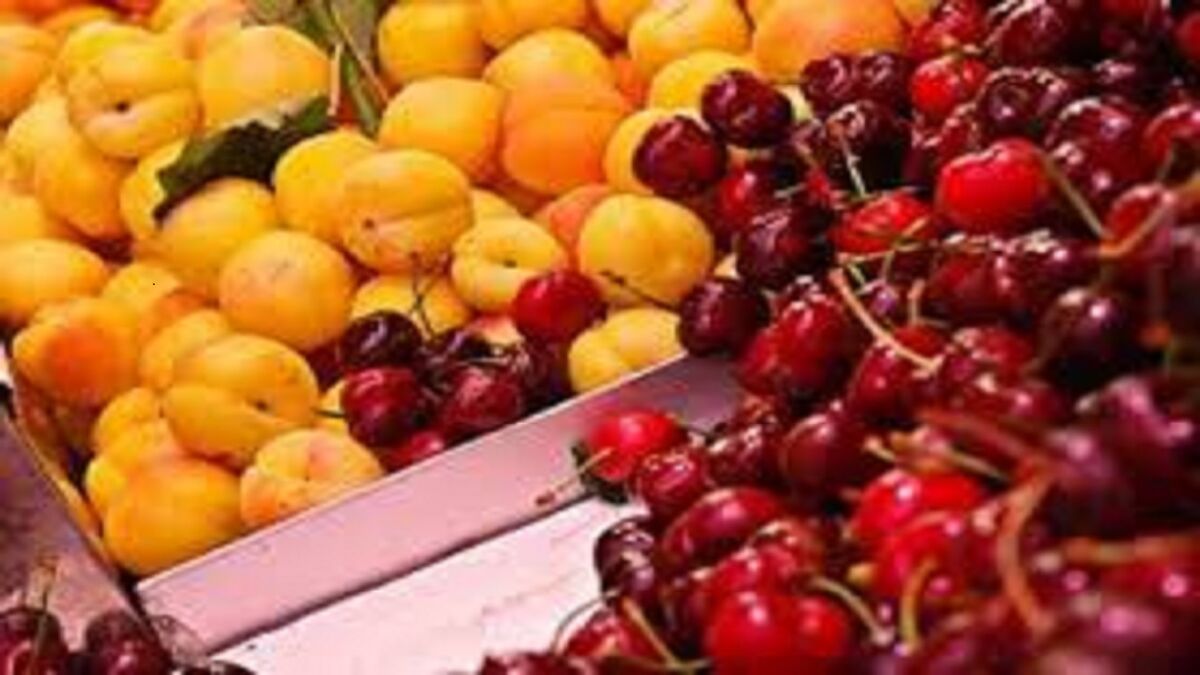 قیمت میوه در بازار به تعادل رسید