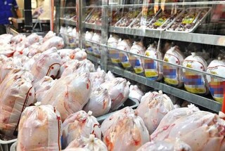 تلاش وزارت کشاورزی برای کاهش قیمت مرغ