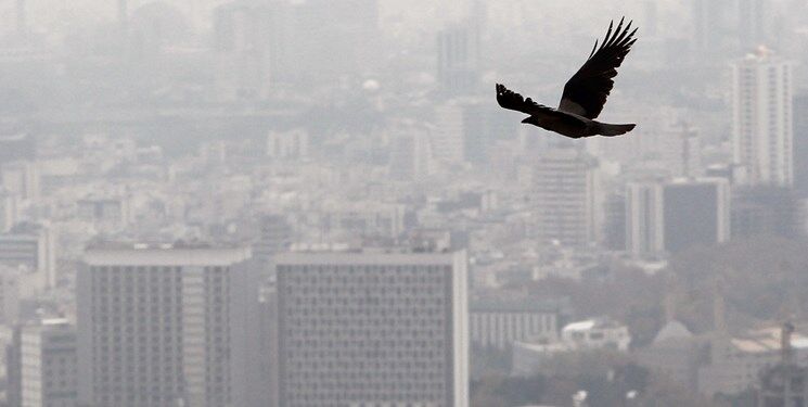 شاخص آلودگی هوای تهران به ۱۶۳ رسید؛ هوا برای همه ناسالم است
