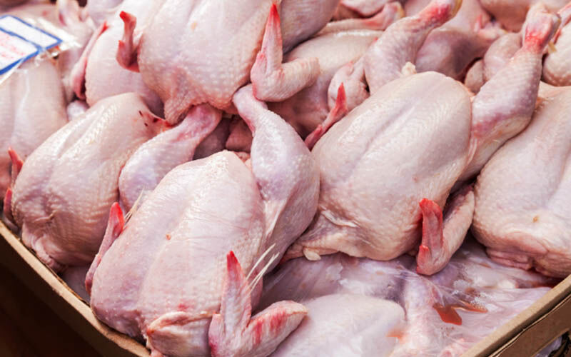قیمت معیار گوشت مرغ در بازار مشهد ۱۵۷ هزار ریال است