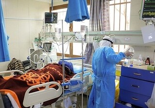رئیس بیمارستان بقیه الله: فرد دارای آنتی بادی تا ۶ ماه کرونا نمی‌گیرد 