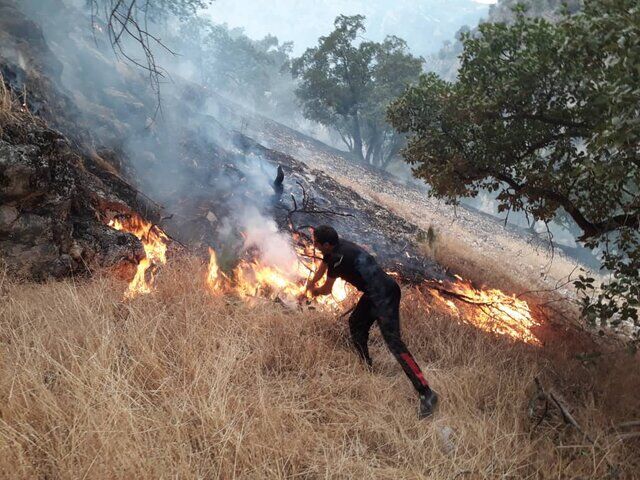رد پای شکارچیان غیرمجاز در آتش‌سوزی‌ «ششدار»