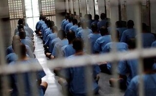 رئیس سازمان زندان‌ها: ۷۱ درصد زندانیان را افراد کم‌سواد تشکیل می‌دهند