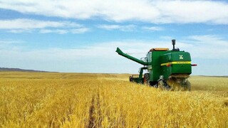 پایش کرونا برای عوامل برداشت محصولات کشاورزی در مشهد