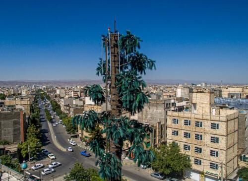 بهره‌برداری از نخستین دکل مخابراتی درختی کشور در مشهد
