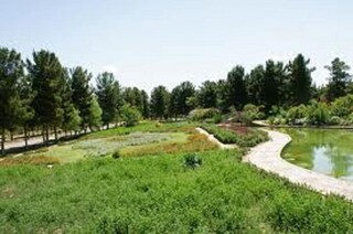 بزرگ‌ترین باغ گیاه‌ شناسی شرق کشور در فیروزه احداث می‌شود