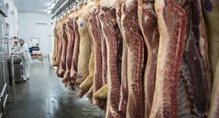 تکذیب ماجرای توزیع و فروش گوشت سگ در کرمان