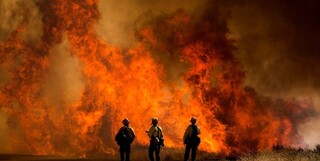 آتش‌سوزی مهیب در کالیفرنیا| 8000 نفر مجبور به ترک خانه‌های‌شان شدند

