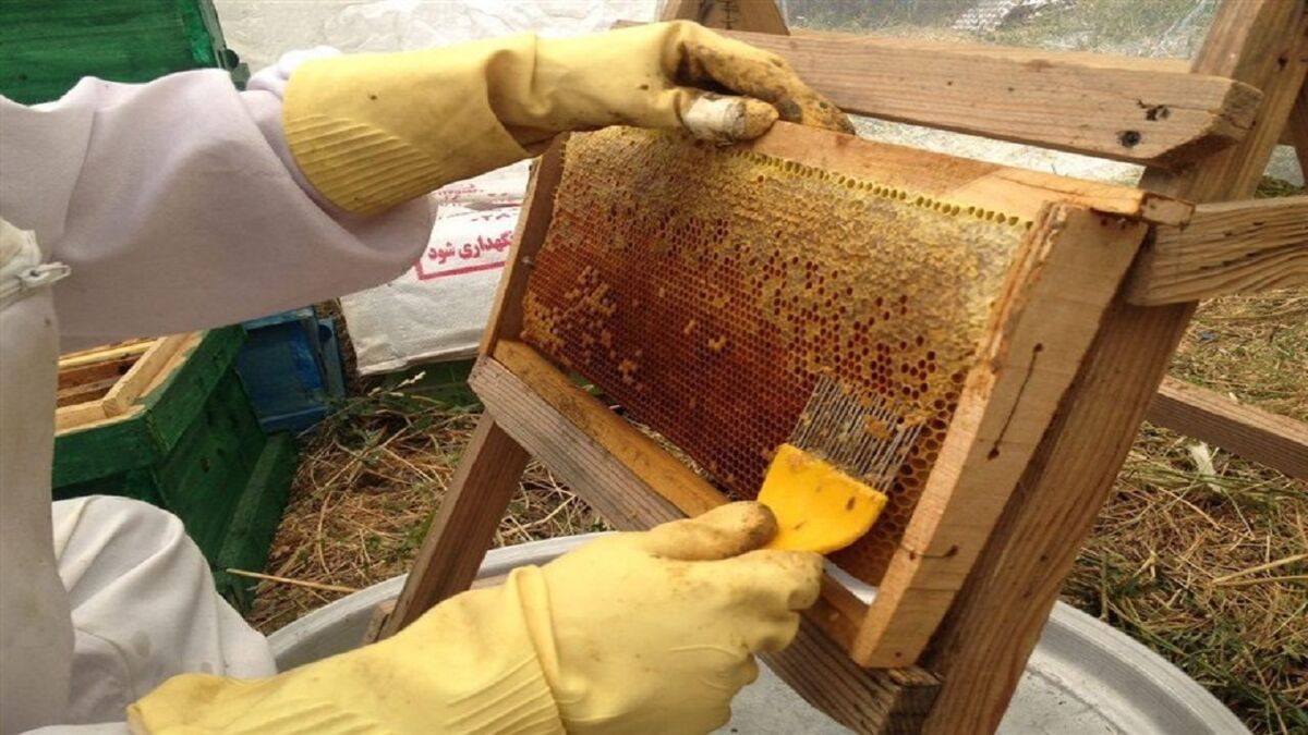 افزایش جهش تولید با طعم عسل