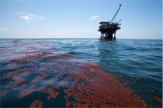 آلودگی ‌سکوهای نفتی خلیج فارس پاک‌سازی شد