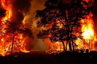 آتش در جنگل‌های ارسباران به طور کامل مهار شد
