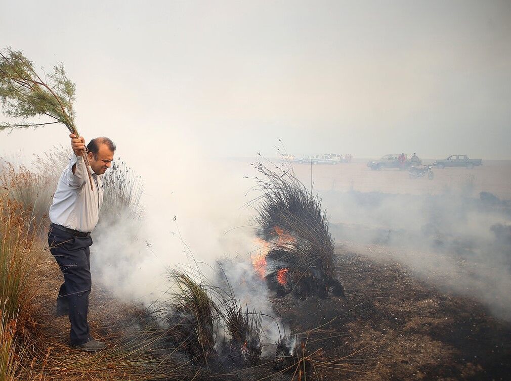 ۲۵۰ هکتار از اراضی طرقبه از ابتدای امسال آتش گرفته است
