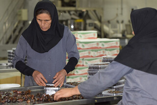 بنیاد برکت ۴۲۰۰ شغل در بوشهر ایجاد می کند