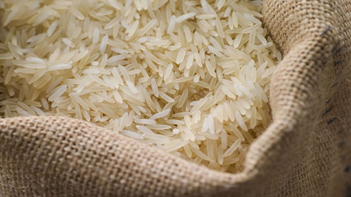 خراسان رضوی مشکلی در تامین برنج پاکستانی ندارد