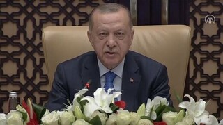 تنها راه حل مناقشه قبرس به روایت اردوغان