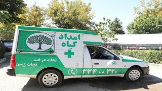 امداد رسانی به بیش از ۶ هزار اصله درخت در مشهد