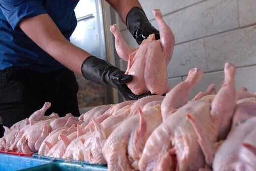 نبود نظارت بر عملکرد فروشگاه‌های عرضه مرغ با قیمت مصوب

