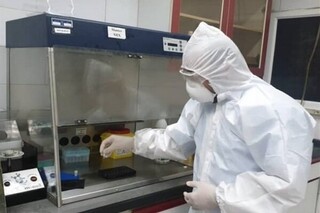 راه اندازی آزمایشگاه تشخیص کرونا در کاشمر