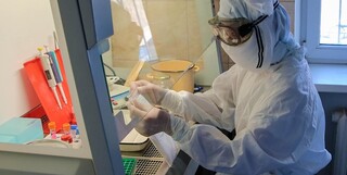 انجام روزانه بیش از ۷۰۰ تست مولکولی کرونا در آزمایشگاه‌های کووید ۱۹ دانشگاه علوم پزشکی مشهد