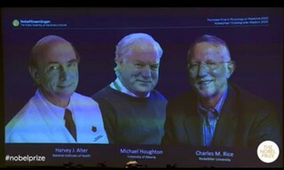 اهدای جایزه نوبل پزشکی به سه دانشمند بخاطر پژوهش‌ در زمینه کشف ویروس هپاتیت C 