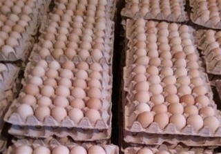 تاکید معاون دادستان مشهد بر تشدید نظارت بر توزیع تخم مرغ 