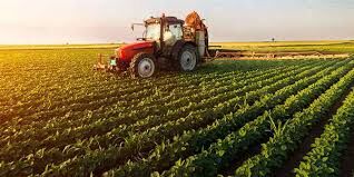 تضمین معیشت کشاورزان با کشت قراردادی/ جهاد کشاورزی حمایت کند

