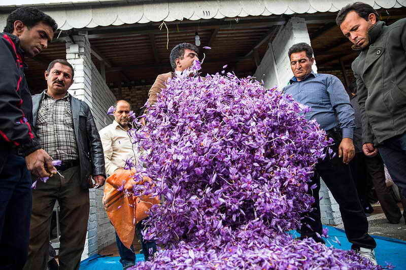 راه‌اندازی بزرگترین بازارچه فروش زعفران کشور در تربت‌حیدریه