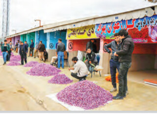 رعایت پروتکل‌های بهداشتی در بازارچه زعفران تربت‌حیدریه الزامی است