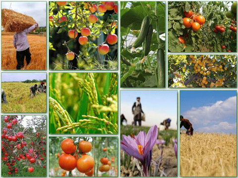 فرآوری محصولات کشاورزی