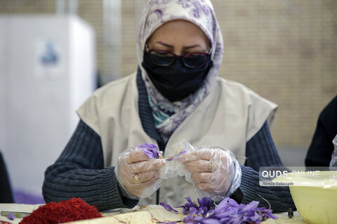 جهادگران بسیجی در قرارگاه اقتصادی زعفران