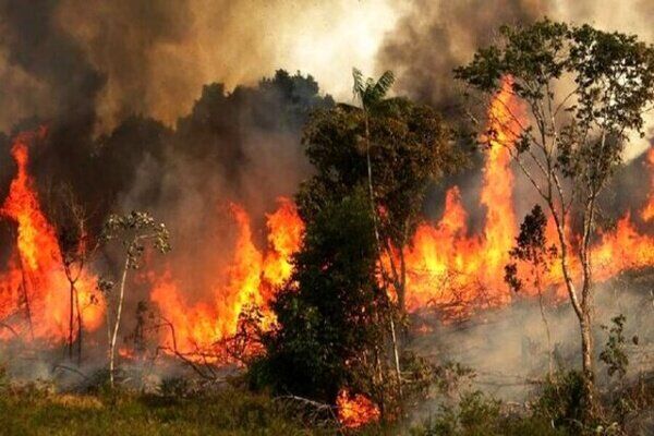  آتش‌سوزی اراضی جنگلی تالش مهار شد