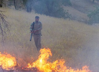 ۴۰۰ هکتار از محیط زیست خراسان رضوی از ابتدای امسال آتش گرفته است
