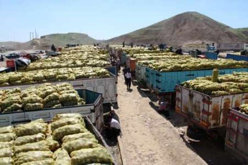 سرنوشت گوجه های صادراتی در انتظار سیب‌زمینی؛ انباشت صد ها تن محصول پشت مرز عراق  