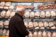 مرغ از بازار کرمان پر کشید؛ سبقت قیمت گوشت سفید از دلار