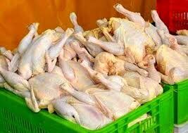 وضعیت بازار مرغ خراسان رضوی تا پایان هفته بهبود می‌یابد