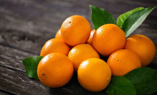 افزایش قیمت پرتقال در بازار مشهد به دلیل کمبود عرضه است