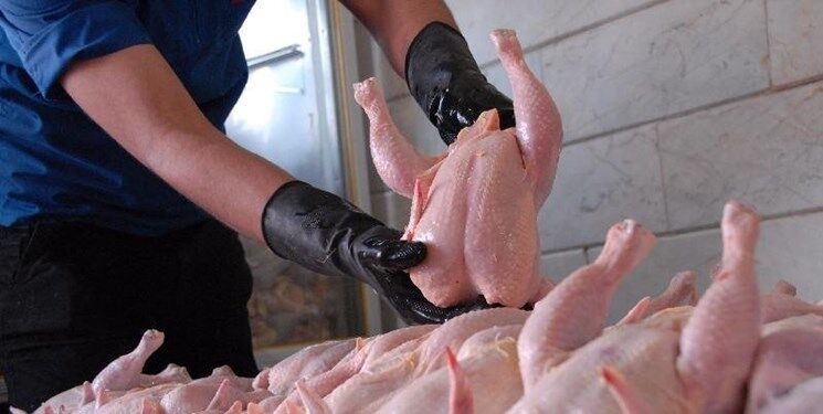 روزانه ۲.۵ تن گوشت مرغ تازه به قیمت تنظیم بازار در کاشمر توزیع می‌شود