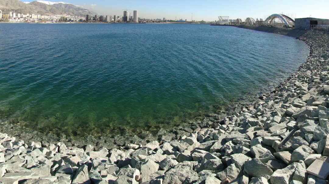 هیچ  تمساحی در دریاچه چیتگر زندگی نمی کند