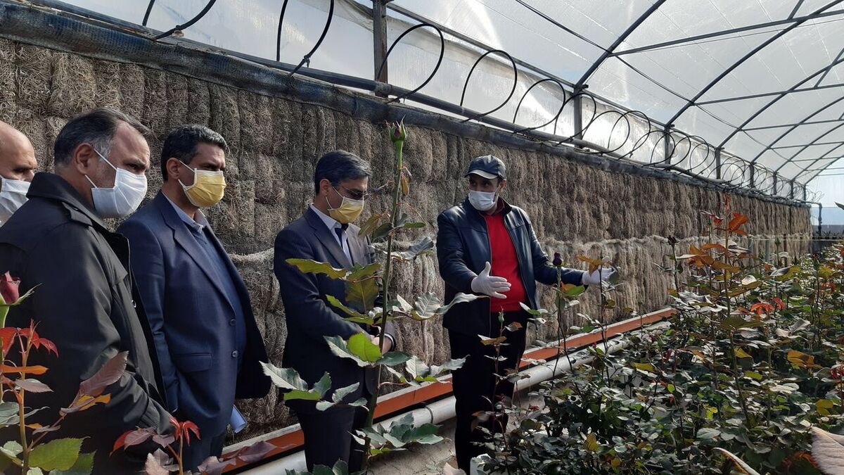 گلخانه‌داران مشهدی صاحب پایانه‌ فروش و صادرات تولیداتشان می‌شوند