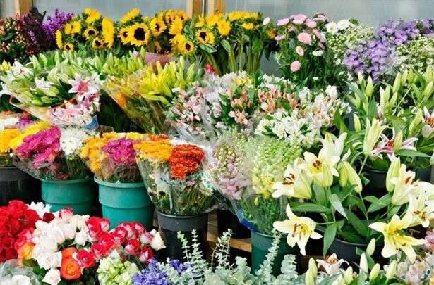 افزایش ۵۰ درصدی قیمت گل در آستانه شب یلدا
