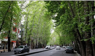 خیابان ولیعصر (عج) تهران پتانسیل ثبت جهانی را دارد