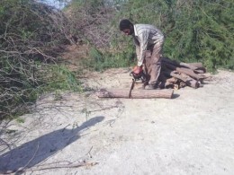 کاهش ۸۰ درصدی جرائم قطع درختچه های تاغ و اشجار جنگلی و  بوته های  مرتعی  در شهرستان  بردسکن