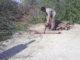 کاهش ۸۰ درصدی جرائم قطع درختچه های تاغ و اشجار جنگلی و  بوته های  مرتعی  در شهرستان  بردسکن