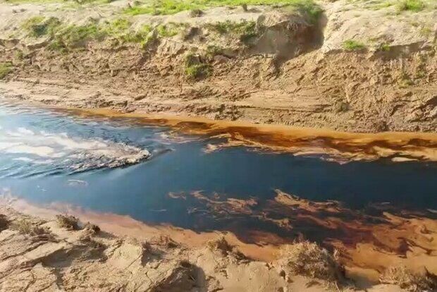 جاری شدن نفت در رودخانه های گناوه؛ محیط زیست جامه سیاه به تن کرد 