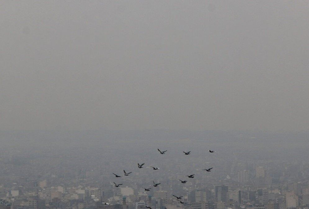 مهمترین خلاء مطالعات آلودگی هوا در مشهد نبود آمار است