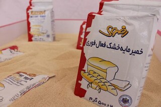 صادرات ۲.۵ میلیون دلاری خمیرمایه در ۸ ماهه امسال
